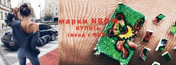 PSILOCYBIN Белокуриха
