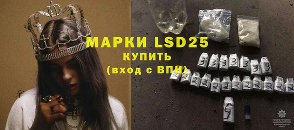 PSILOCYBIN Белокуриха