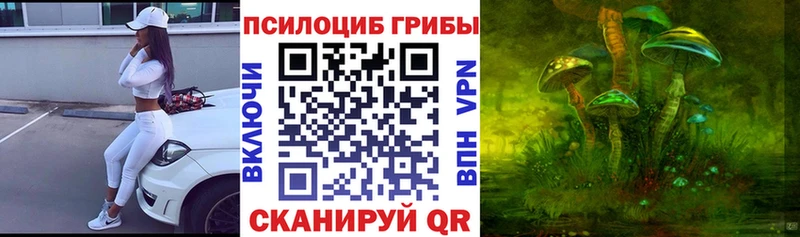 Купить  Красноуфимск  Галлюциногенные грибы Magic Shrooms 